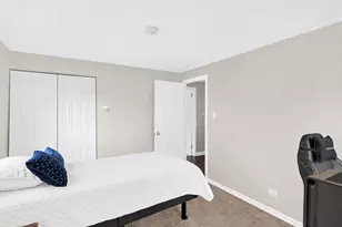 319 S Braintree Dr, Schaumburg, IL 60193 - Photo 17