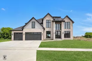 9011 Port Washington Dr, Frankfort, IL 60423 - Photo 1