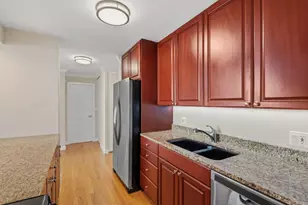 111 E Chestnut St, Chicago, IL 60611 - Photo 9