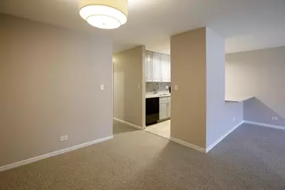 828 S Bell Avenue, Chicago, IL 60612 - Photo 35