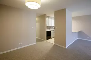828 S Bell Ave, Chicago, IL 60612 - Photo 35