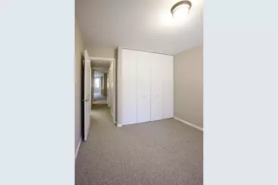 828 S Bell Avenue, Chicago, IL 60612 - Photo 39