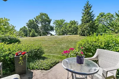 256 Thornhill Lane #C, Lake Barrington, IL 60010 - Photo 27