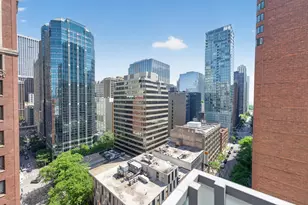 550 N St Clair St, Chicago, IL 60611 - Photo 11