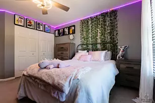 335 Wentworth Ln, Bartlett, IL 60103 - Photo 33