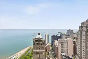 950 N Michigan Ave, Chicago, IL 60611 - Photo 13