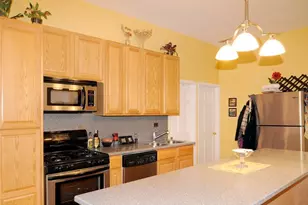 1746 W Ohio St, Chicago, IL 60622 - Photo 5