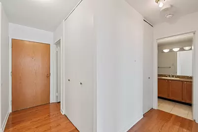 211 E Ohio Street #719, Chicago, IL 60611 - Photo 11