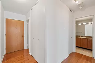 211 E Ohio St, Chicago, IL 60611 - Photo 11