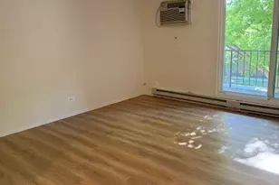 255 S West Ave, Elmhurst, IL 60126 - Photo 11