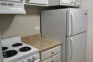 255 S West Ave, Elmhurst, IL 60126 - Photo 5