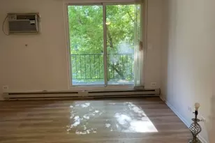 255 S West Ave, Elmhurst, IL 60126 - Photo 9