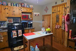 113 Birch St, Prophetstown, IL 61277 - Photo 3