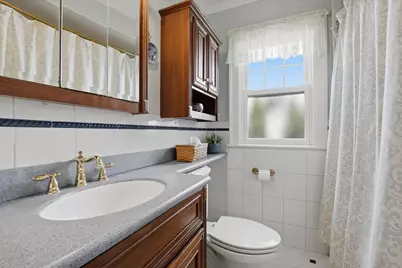 708 S Vine Avenue, Park Ridge, IL 60068 - Photo 19
