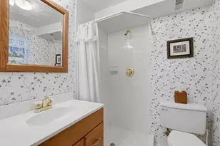 708 S Vine Ave, Park Ridge, IL 60068 - Photo 33