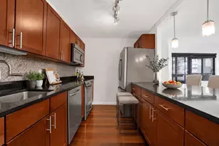 222 E Pearson St, Chicago, IL 60611 - Photo 7