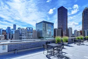 222 E Pearson St, Chicago, IL 60611 - Photo 23