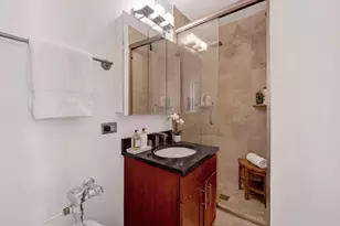222 E Pearson St, Chicago, IL 60611 - Photo 13