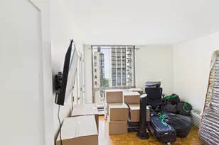 1310 N Ritchie Ct, Chicago, IL 60610 - Photo 17