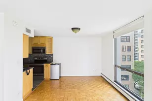 1310 N Ritchie Ct, Chicago, IL 60610 - Photo 27