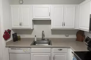 10 E Ontario St, Chicago, IL 60611 - Photo 9
