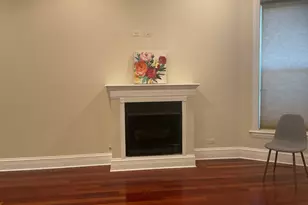4839 S Vincennes Ave, Chicago, IL 60615 - Photo 5