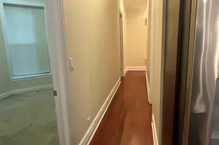 4839 S Vincennes Ave, Chicago, IL 60615 - Photo 25