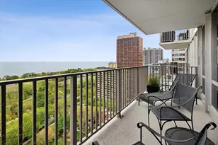 339 W Barry Ave, Chicago, IL 60657 - Photo 19