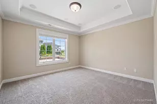 3674 Broadleaf Ave, Elgin, IL 60124 - Photo 55