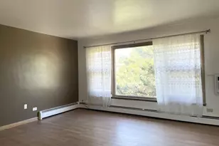 8046 S Pulaski Rd, Chicago, IL 60652 - Photo 3