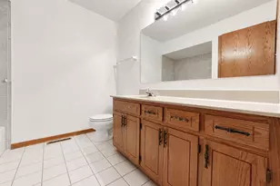 18222 Michigan Ct, Orland Park, IL 60467 - Photo 19