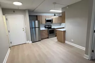 5125 Blodgett Ave, Downers Grove, IL 60515 - Photo 5