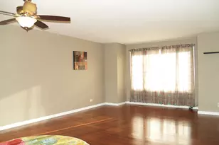 381 Park Ridge Ln, Aurora, IL 60504 - Photo 3
