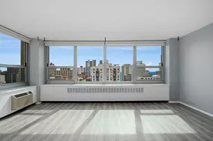 1255 N Sandburg Terrace, Chicago, IL 60610 - Photo 3