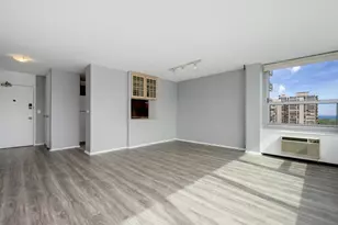 1255 N Sandburg Terrace, Chicago, IL 60610 - Photo 9