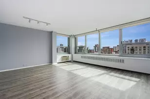 1255 N Sandburg Terrace, Chicago, IL 60610 - Photo 5