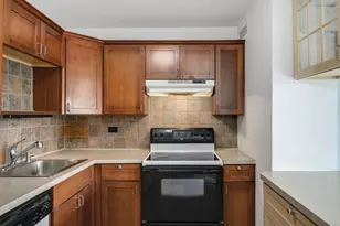 1255 N Sandburg Terrace, Chicago, IL 60610 - Photo 15