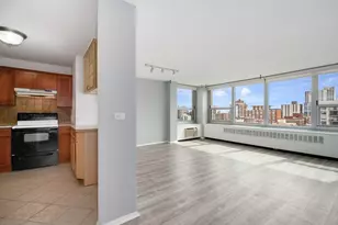 1255 N Sandburg Terrace, Chicago, IL 60610 - Photo 13