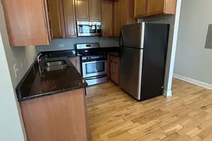 4542 W George St, Chicago, IL 60641 - Photo 7