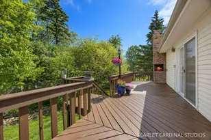 N385 Silverleaf Blvd, Wheaton, IL 60187 - Photo 25