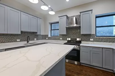 442 E 48th Street #1E, Chicago, IL 60615 - Photo 17
