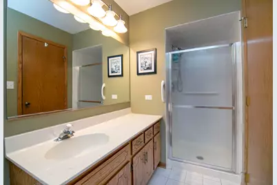 17613 Ryan Lane, Orland Park, IL 60467 - Photo 23