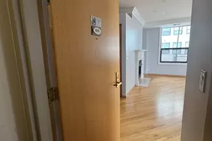 910 S Michigan Ave, Chicago, IL 60605 - Photo 5