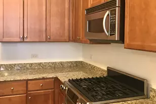 450 E Waterside Dr, Chicago, IL 60601 - Photo 7