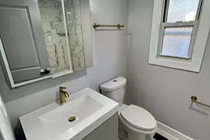 11619 S Laflin St, Chicago, IL 60643 - Photo 3
