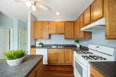 3061 Hughsdale Street, Elgin, IL 60124 - Photo 9