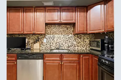 333 S East Avenue #306, Oak Park, IL 60302 - Photo 17