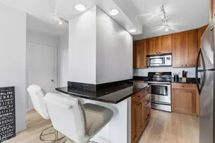 450 W Briar Pl, Chicago, IL 60657 - Photo 3