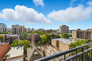 450 W Briar Pl, Chicago, IL 60657 - Photo 11