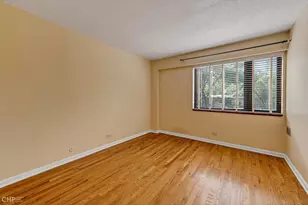 1115 S Plymouth Ct, Chicago, IL 60605 - Photo 21